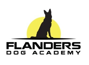Flanders dog academy