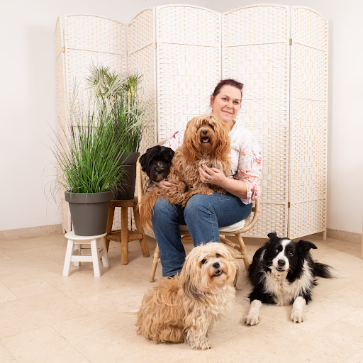 Hondenadviescentrum Zen4AllDogs