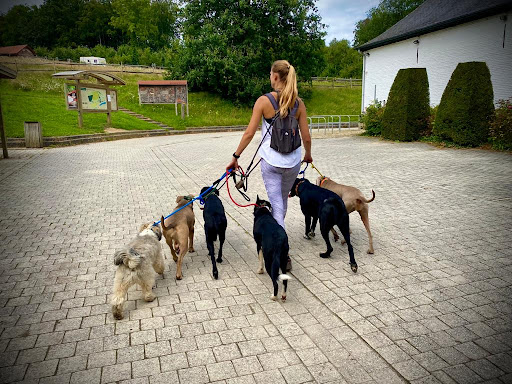 WOOF PACK