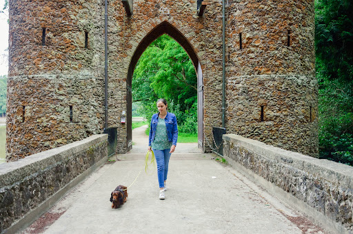 Dogease - Hondengedragstherapie & puppybegeleiding