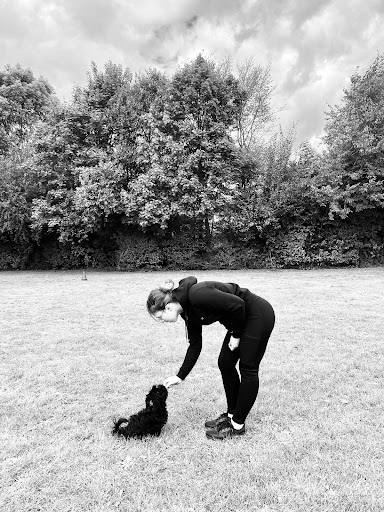 hondenschool hellodoggy