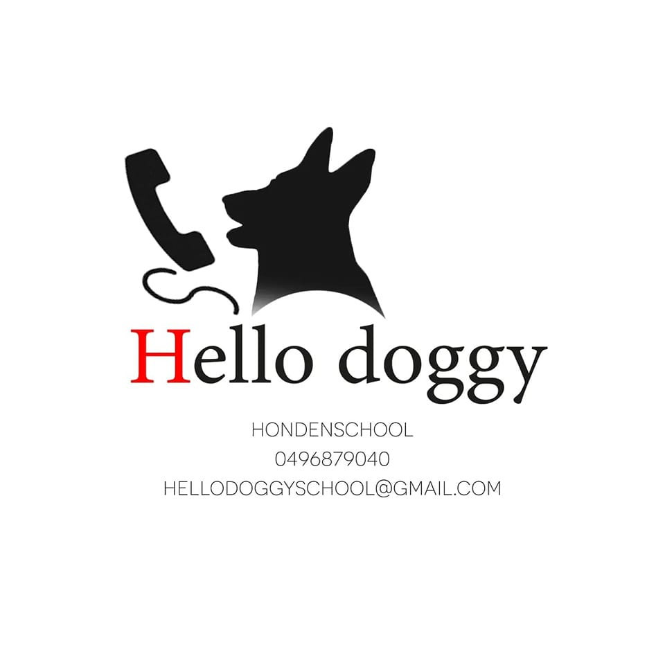 hondenschool hellodoggy