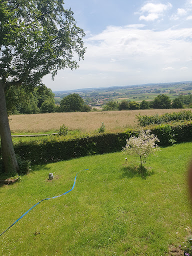 Calmont Gundog Training