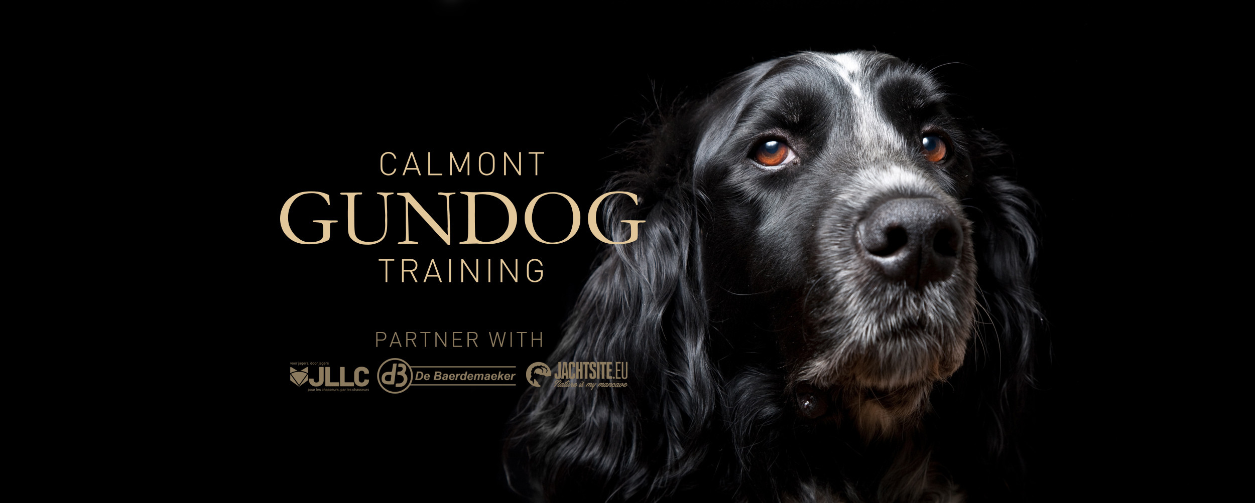 Calmont Gundog Training