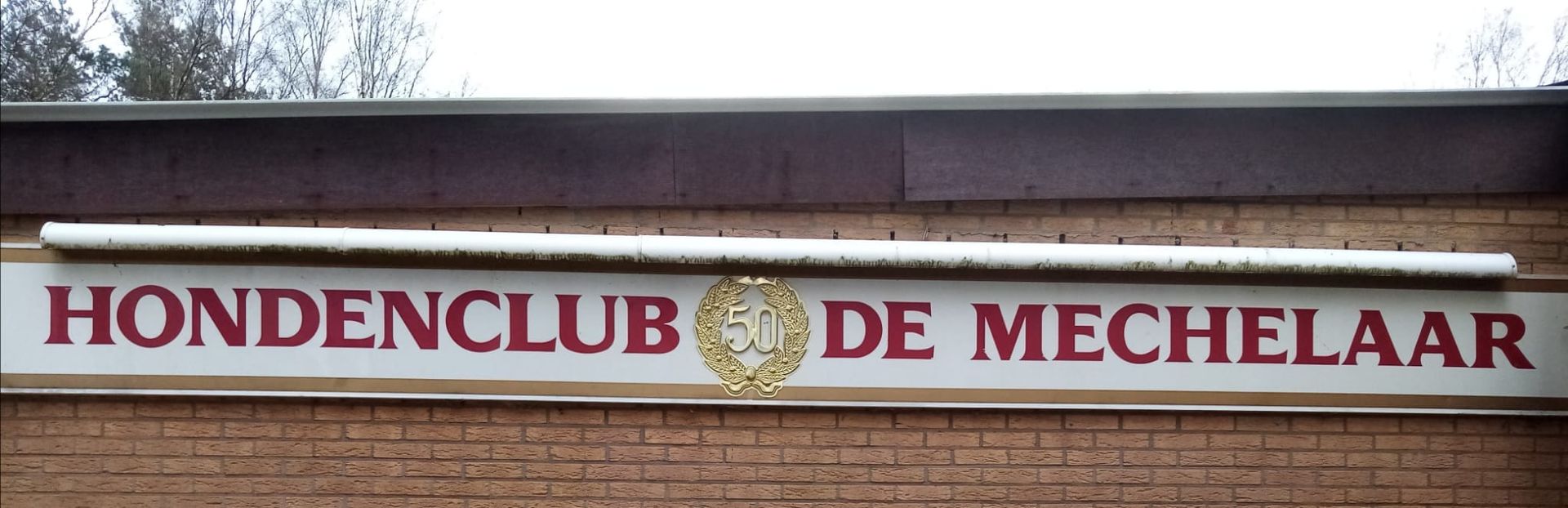 Hondenclub De Mechelaar Opgrimbie