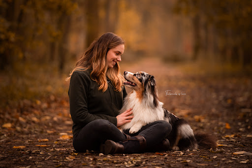 TOT Dogtraining