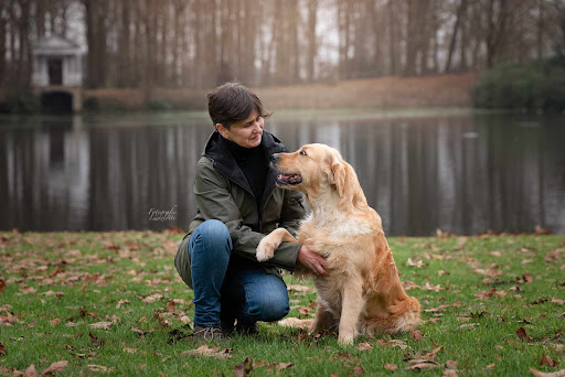 All About Dogs