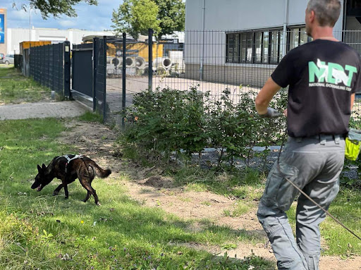 National dogtrailing team