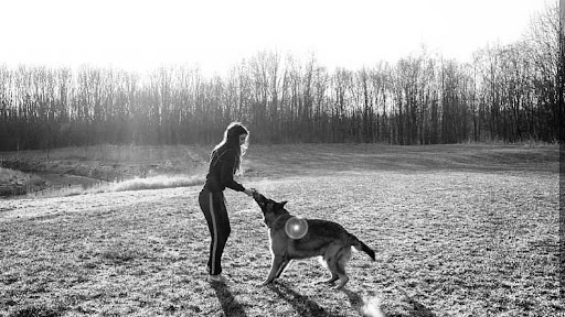 Nero Dog Training