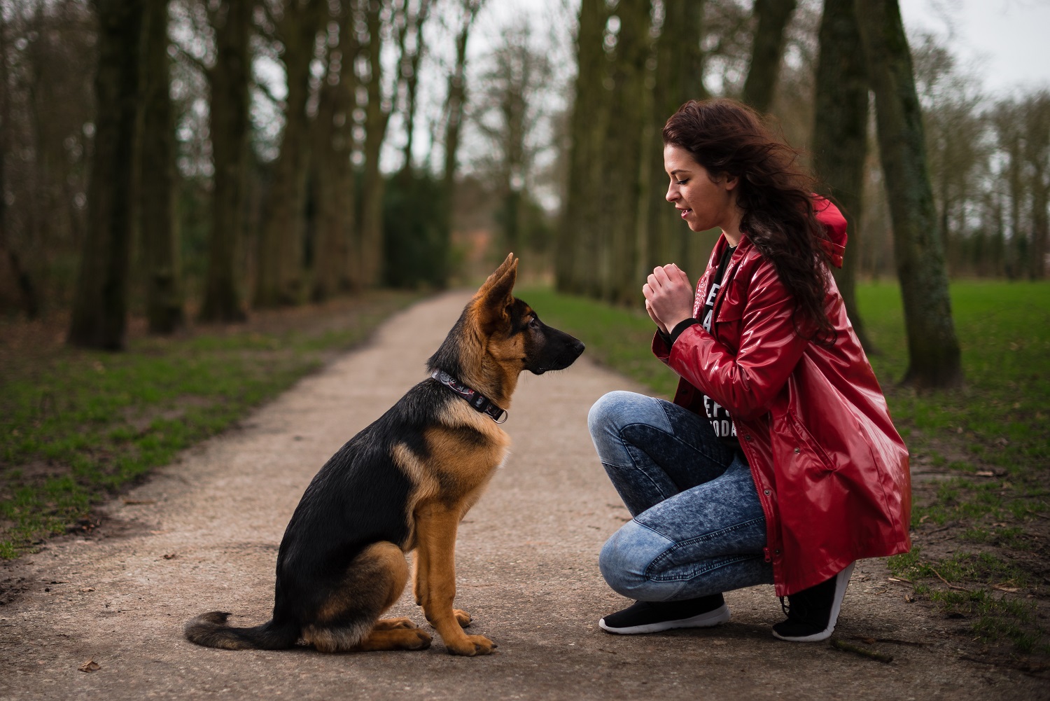 Nero Dog Training