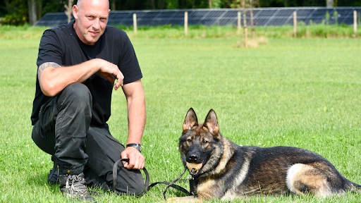 Ronin Dogtraining