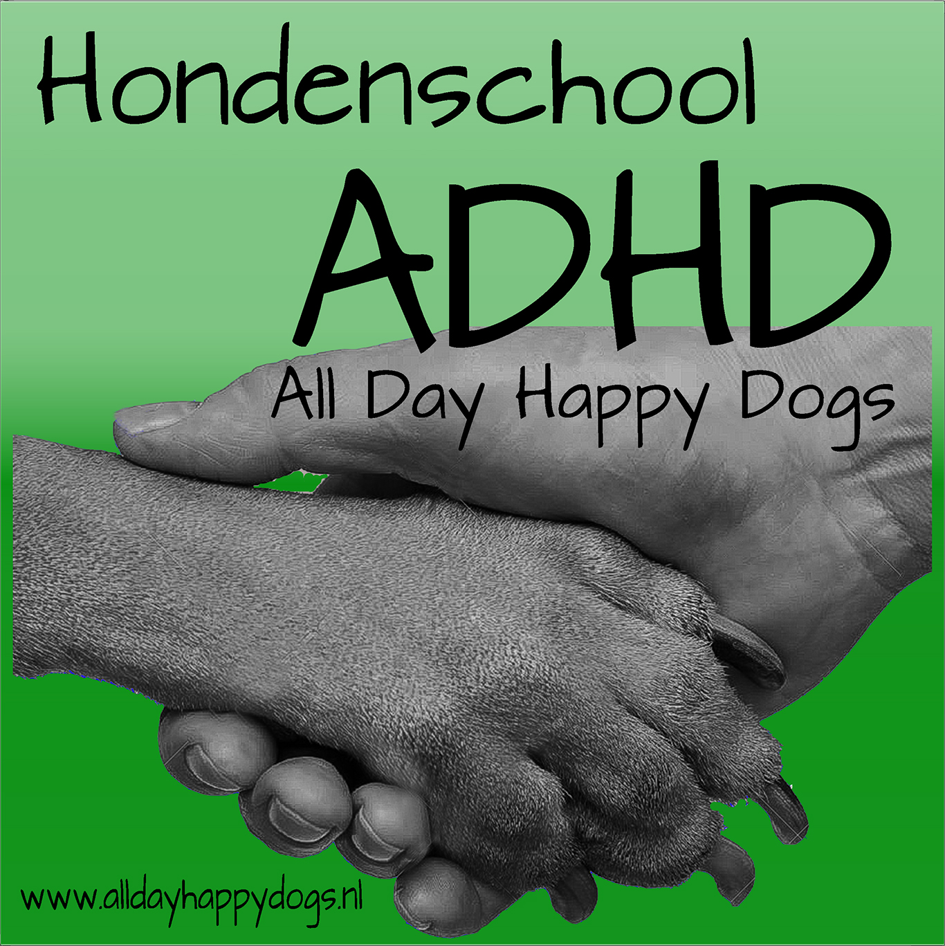 Hondenschool ADHD