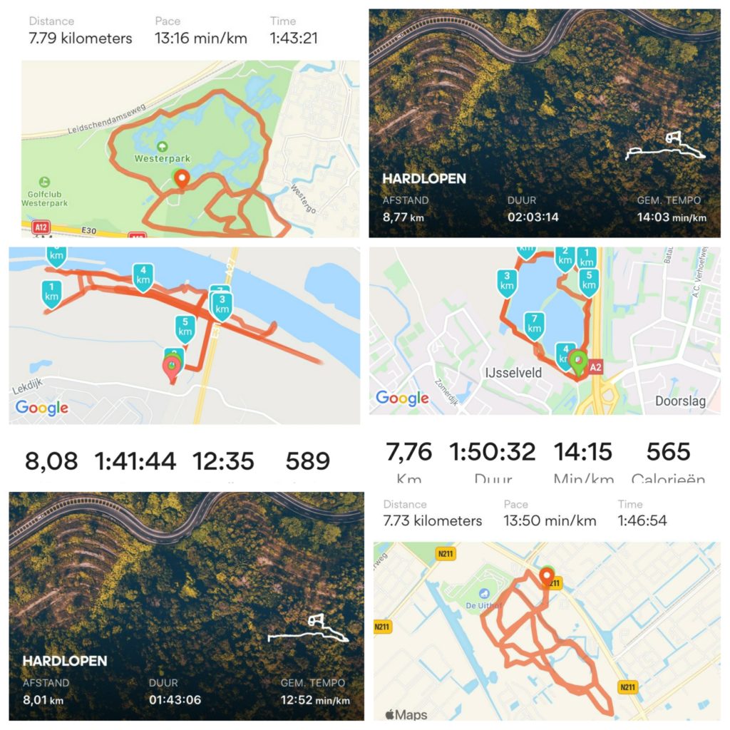 EHBHond - Hondentrainingen & Hondenuitlaatservice in Nieuwegein, IJsselstein & Houten
