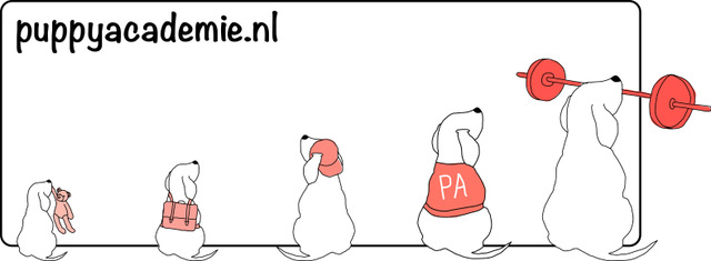 Puppy Academie