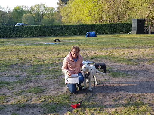 Kynotrain hondenschool west brabant