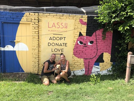Dreamer Dog Services