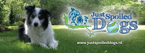 Hondenschool Just Spoiled Dogs