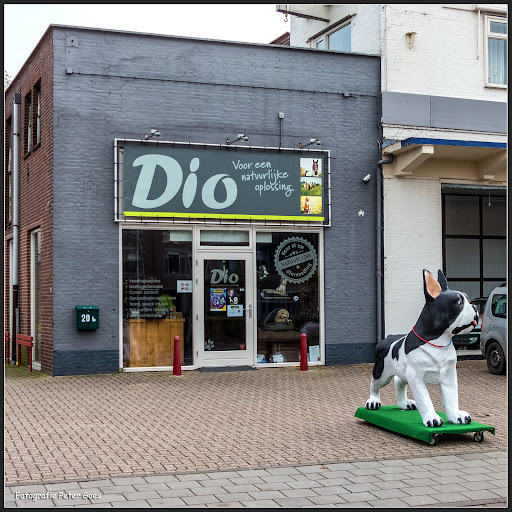 Gedrag & Voeding Advies Centrum DIO
