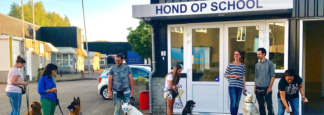Hond op School B.V.