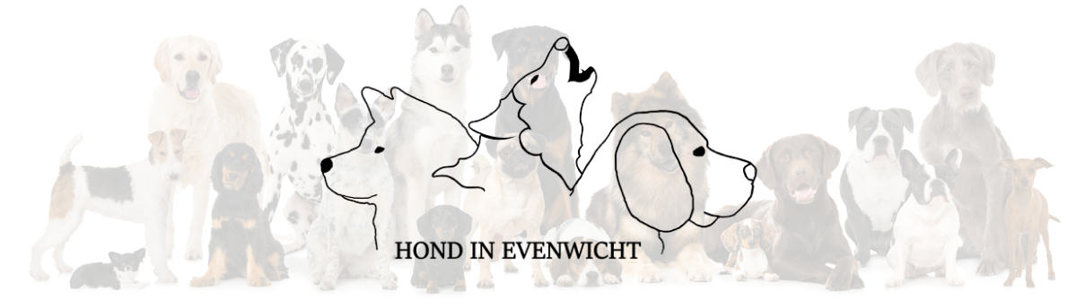 Hond in Evenwicht.