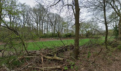 de Trouwe Herder