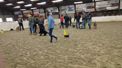 Hondenschool UP — puppycursus & hondentraining