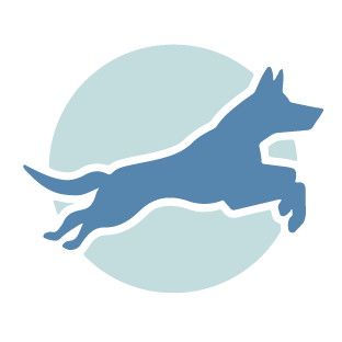 Hondenschool UP — puppycursus & hondentraining