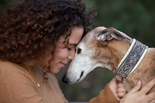 Follow the Dog Coaching voor mens & hond