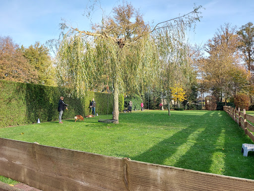 Hondenschool Doggies
