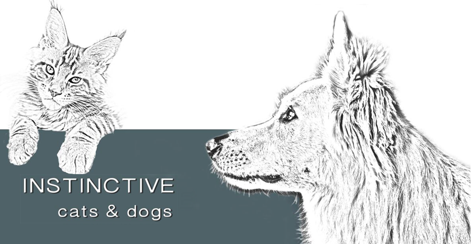 INSTINCTIVE Cats and Dogs