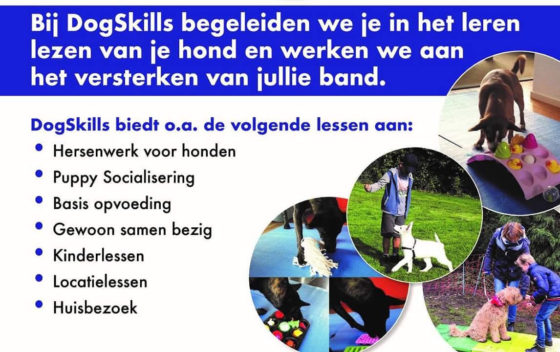 DogSkills Hondenschool
