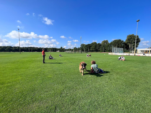 DE, hondenschool, genieten samen met je hond
