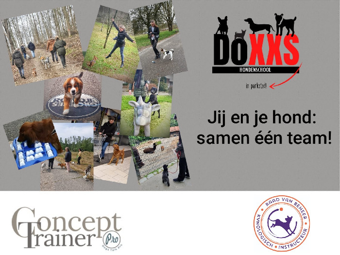 Hondenschool DoXXS Parkstad