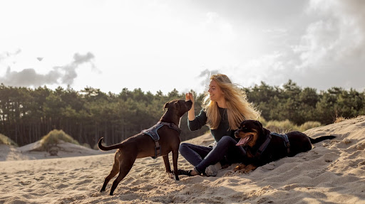 Hond en Emoties