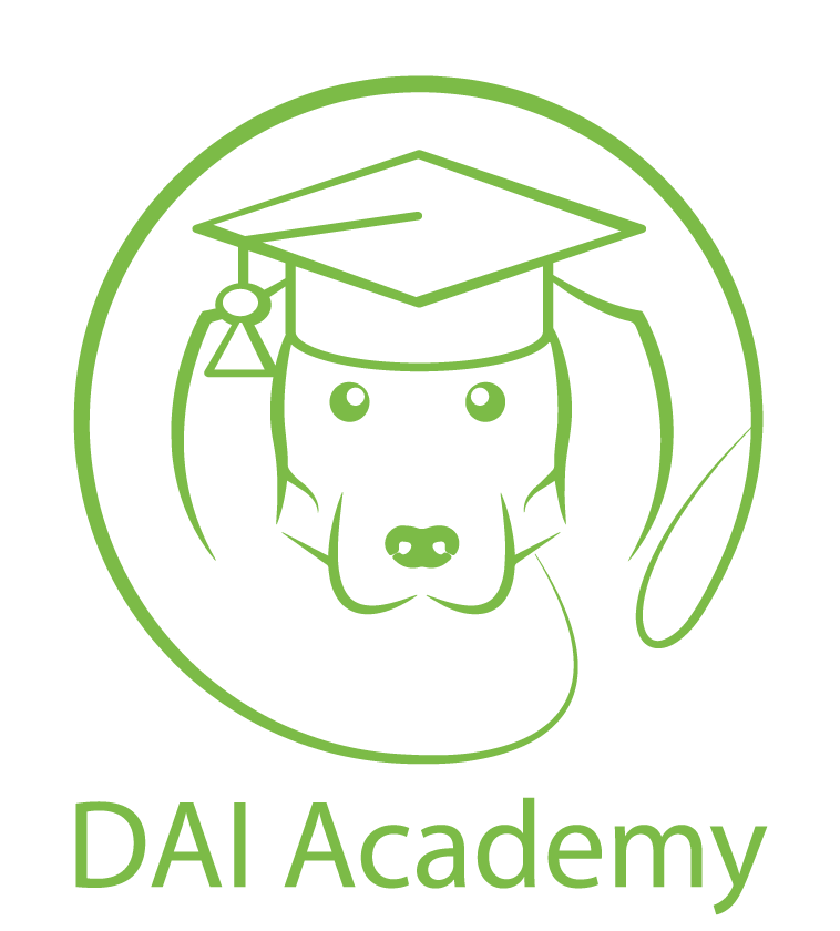 DAI Academy