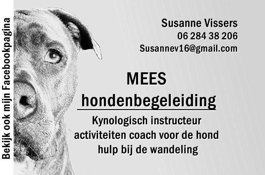 Agility vereniging "Viervoeters V.O.S." te Venlo.