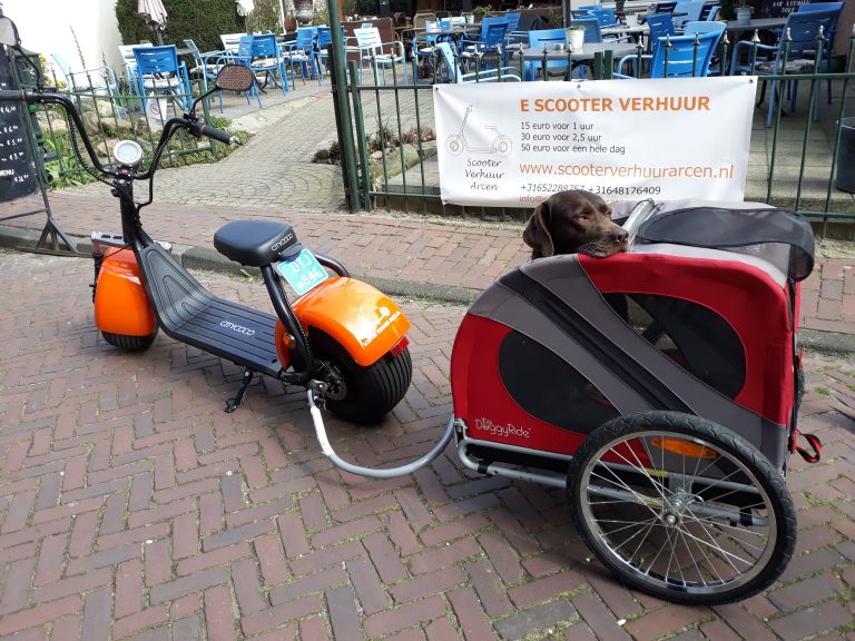 Agility vereniging "Viervoeters V.O.S." te Venlo.