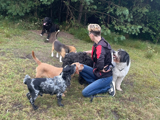 A Doggy Business