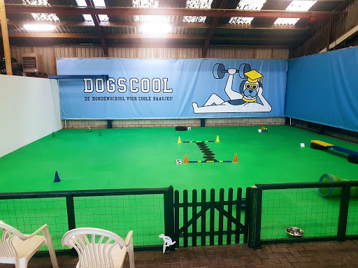Hondenschool Dogs-Cool