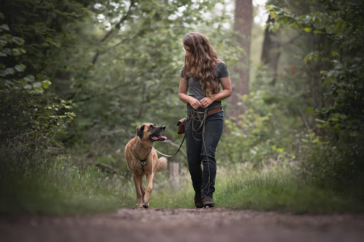 K9 Coaching