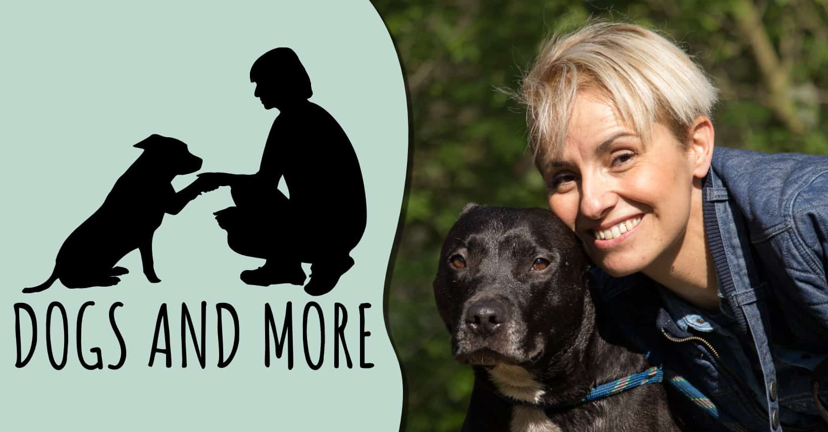 Dogs and More