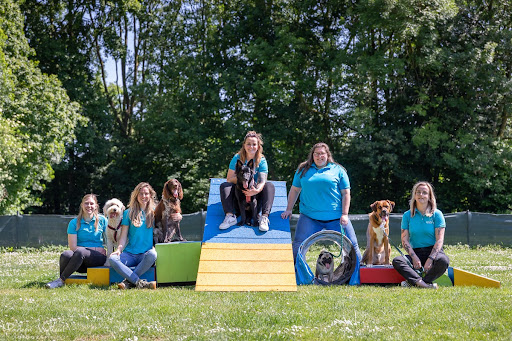 IDEFIX opvoeding, training & gedragstherapie voor honden.