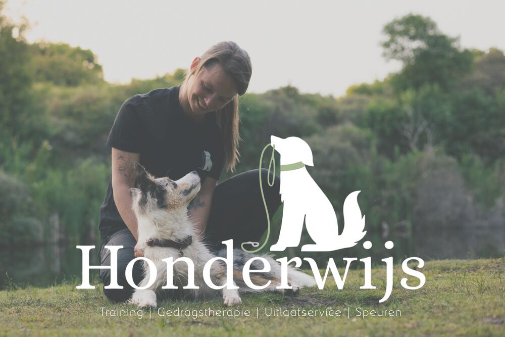 Honderwijs