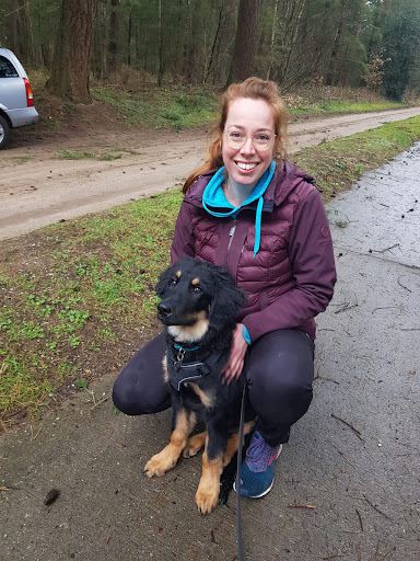 Clever Dog Training
