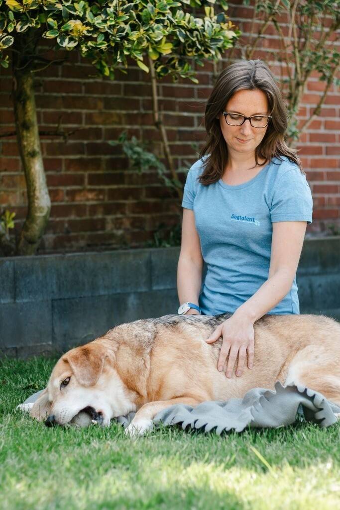 Dogtalent