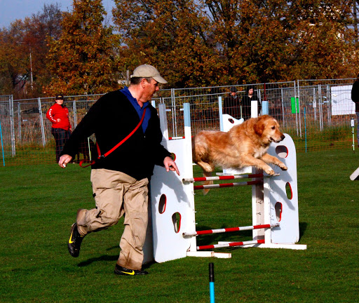 Hondenschool "Canis Cunerae"