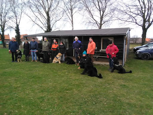 Hondenschool HBSV Boxmeer Vortum-Mullem