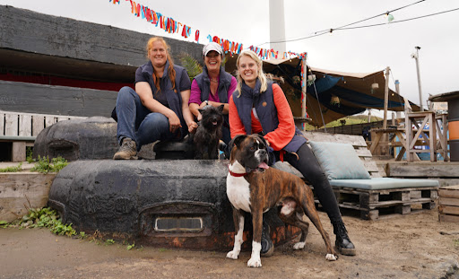 Team de Duinhonden Experts in Hondengedrag