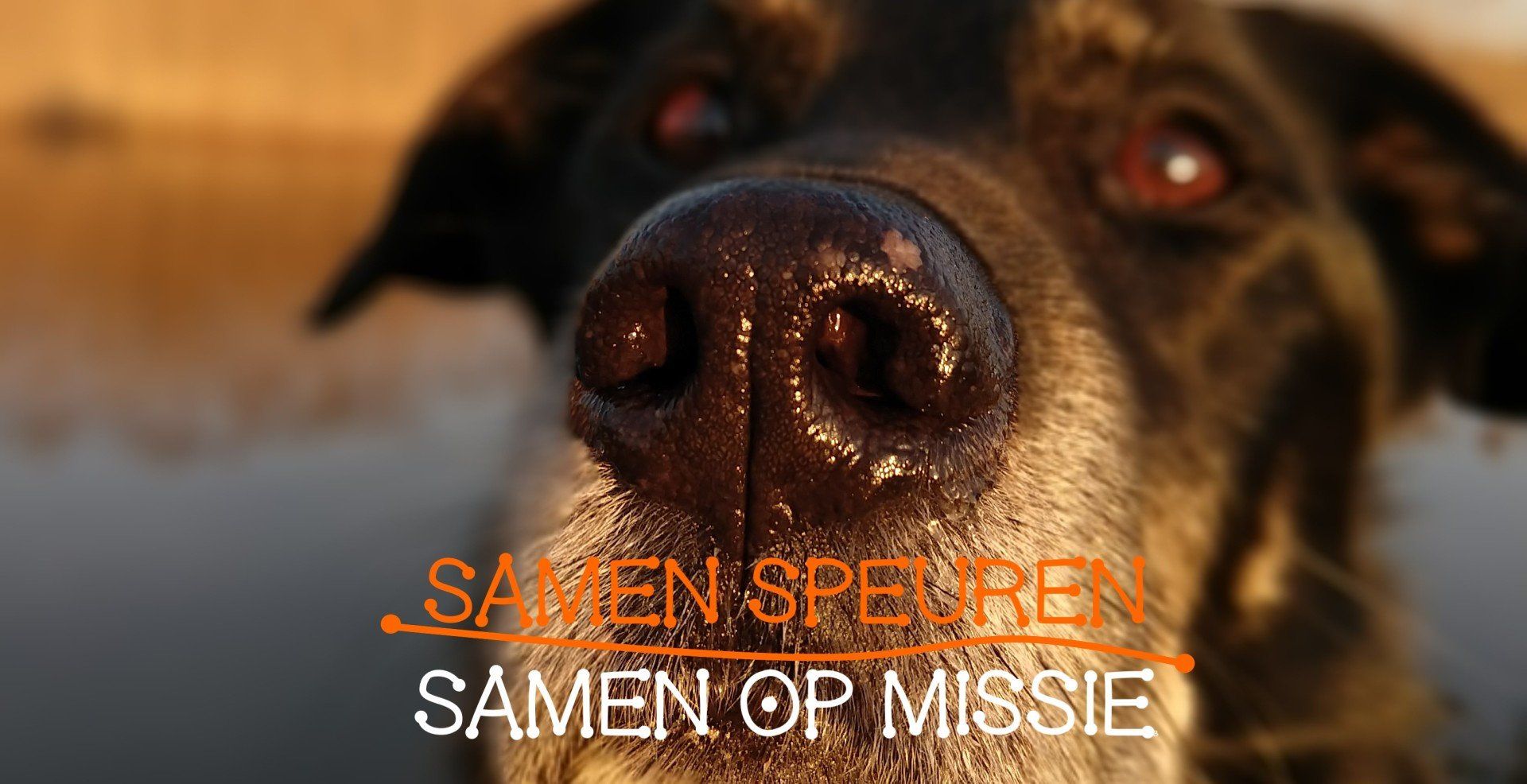 Samen Speuren