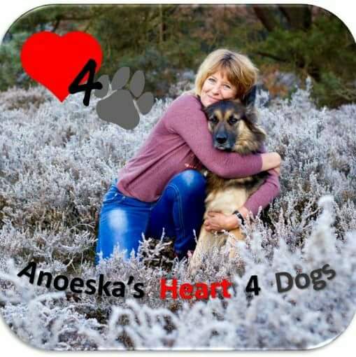 Anoeska 's Heart 4 Dogs